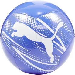 PUMA attacanto graphic- Sommerlek|Fotballer