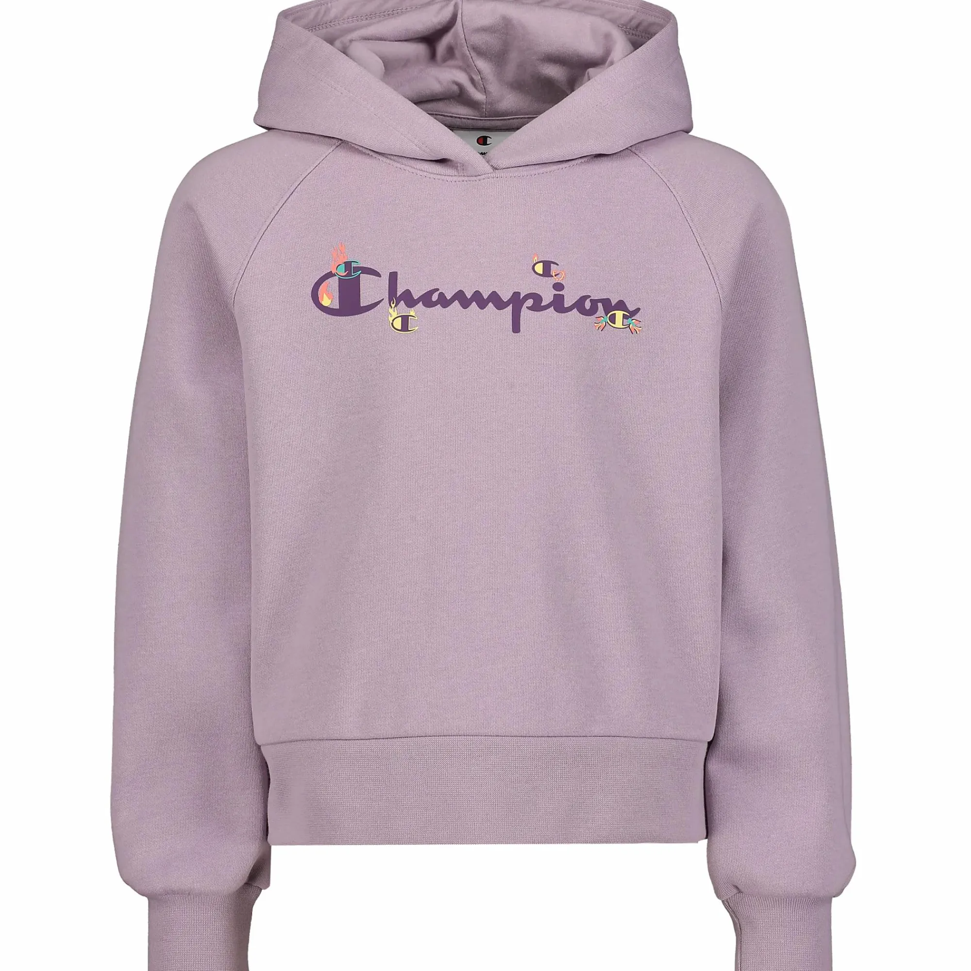 CHAMPION hooded sweatshirt g jr- Genser·Hettegensere