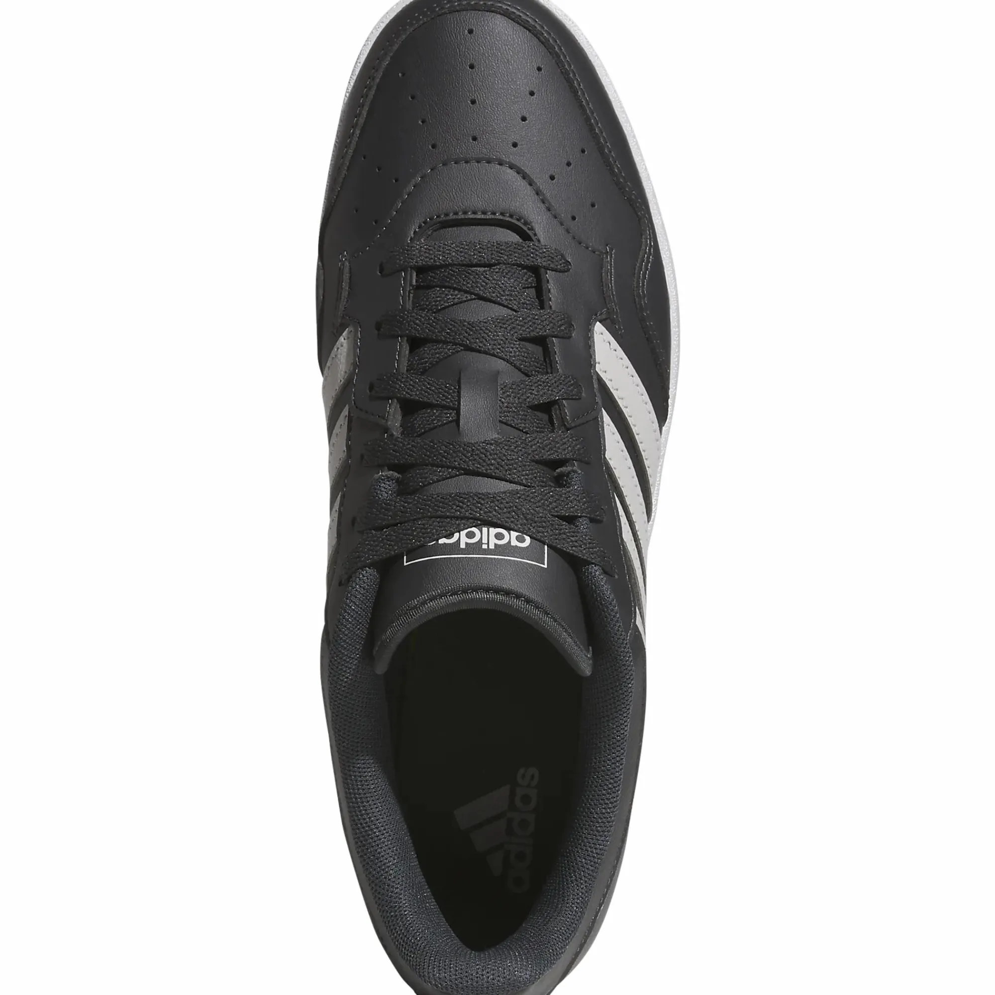 ADIDAS hoops 4.0 m- Sneakers|Sneakers