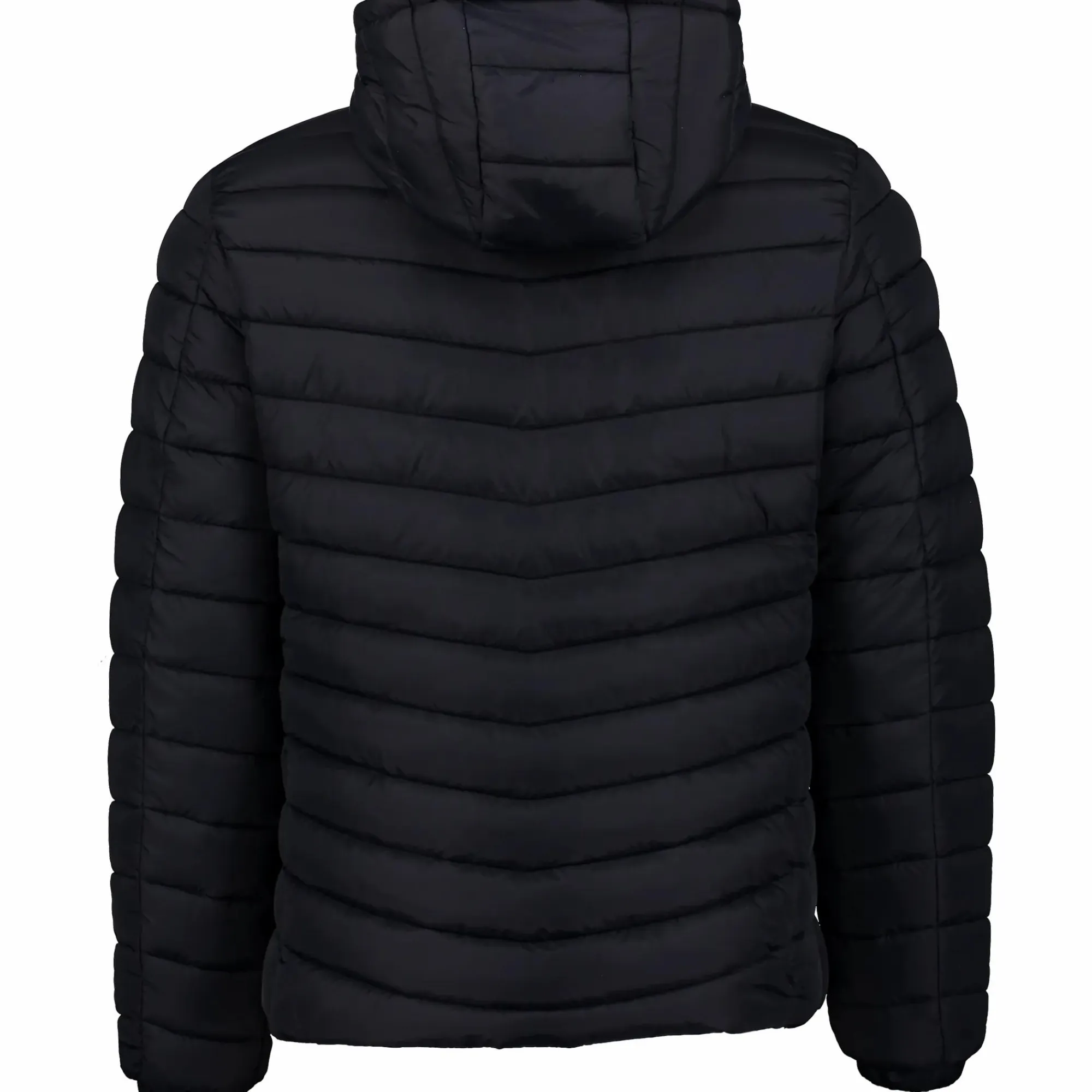 ST VINCENT POLO CLUB noah jkt m- Jakker·Dunjakker|Jakker·Vinterjakker