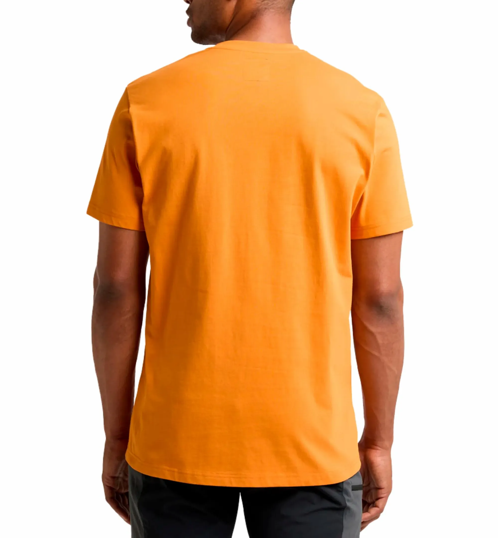 HAGLÖFS outsider by nature print tee men- Friluftsklær