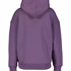 ICONIC sweatshirt hood w- Genser·Hettegensere