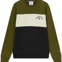 CHAMPION sweatshirt icons crewneck m- Genser·Collegegensere