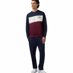 CHAMPION sweatshirt icons crewneck m- Genser·Collegegensere