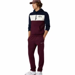 CHAMPION sweatshirt icons hood m- Genser·Hettegensere